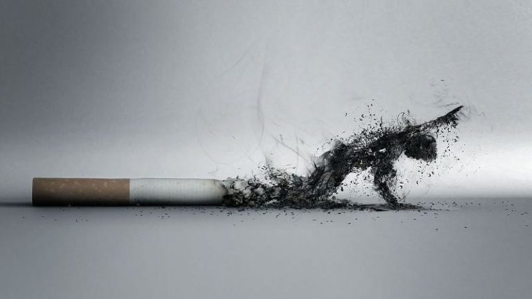 Виды жевательного табака, преимущества и особенности Виды жевательного табака, преимущества и особенности